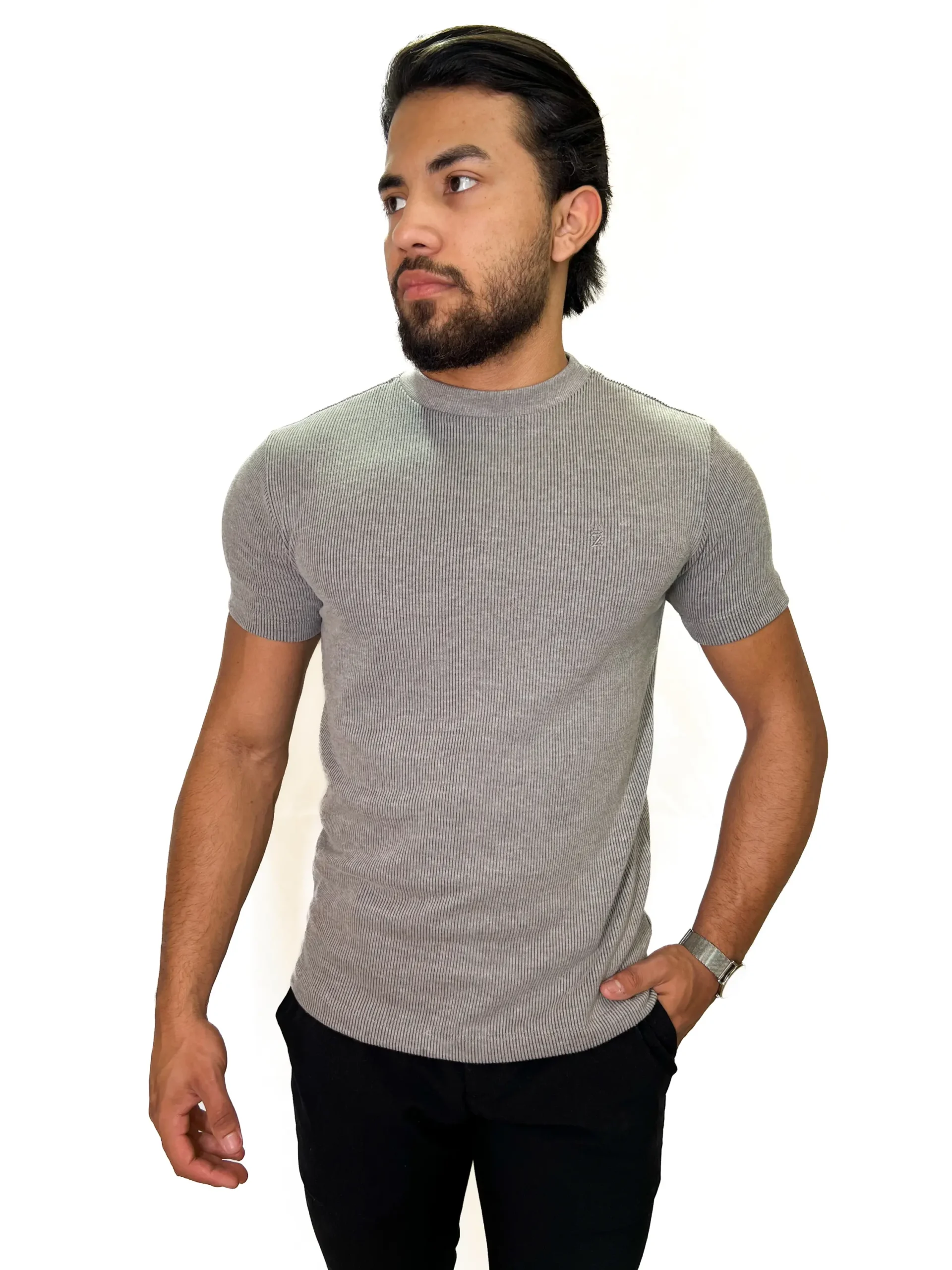 IMG_0638 T-shirt Gola Média Tricot Champy Zetsus Cinza Claro Algodão e Elastano - Imagem 1